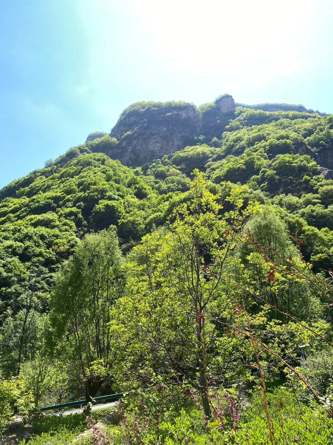 石家庄五一出游来这里尊的很棒❗️❗️