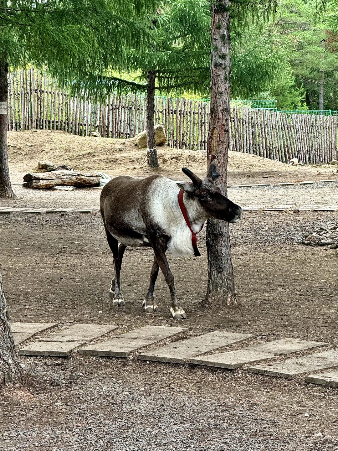 天池不开，二道白河一日游该怎么玩？