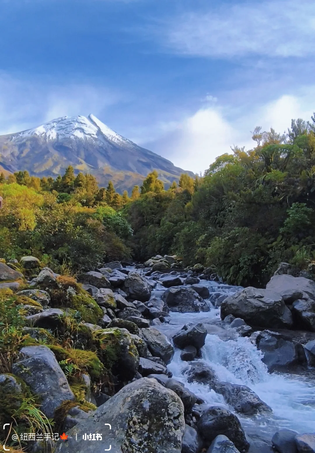 北岛著名景点🔥精灵森林