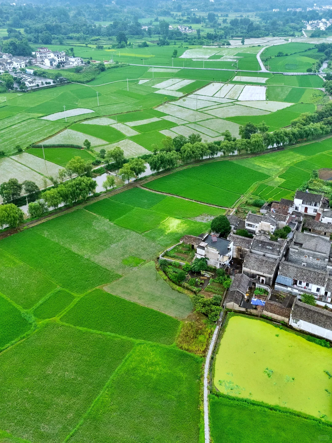 本以为宏村很美了，直到我去了这里…🎐🏮