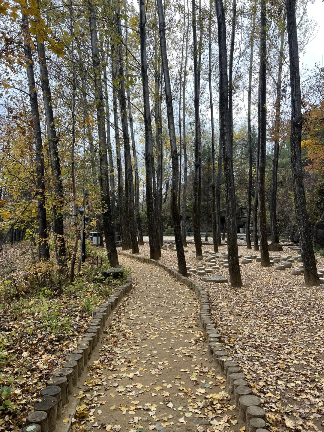 长白山北坡二道白河九月自由行旅游玩攻略
