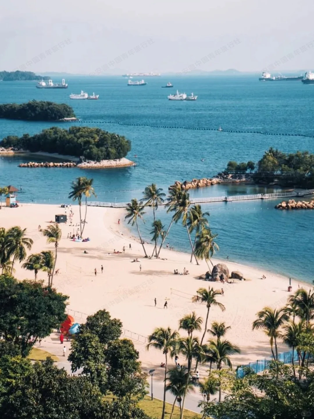 新加坡根本不是网上说的那样…😭