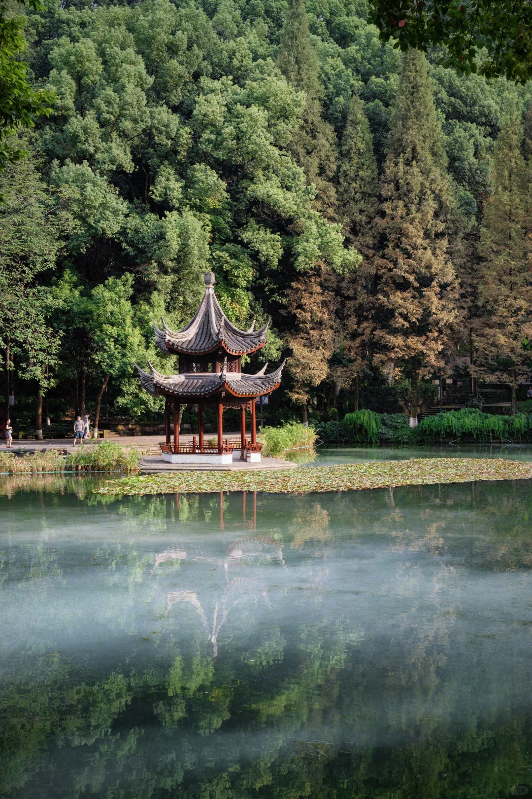 反向旅游，一座被严重低估的人文宝藏城市 ！