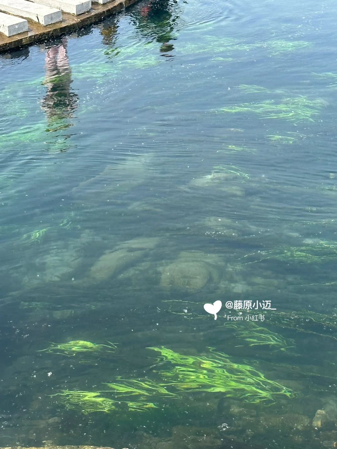 安阳周边游📍邯郸黑龙洞