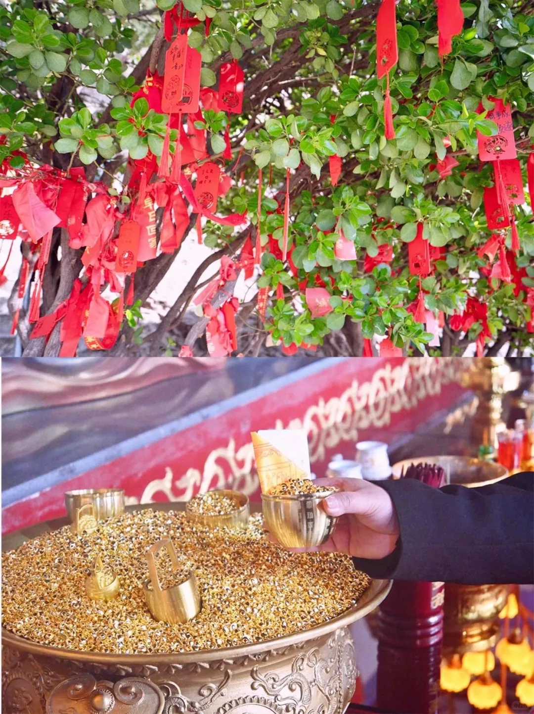 郑州🚅1h直达邯郸,一日打卡必去景点