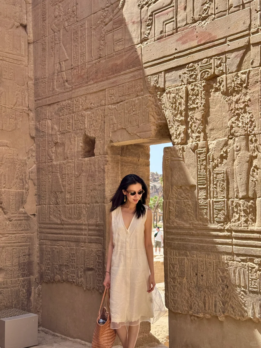 能在埃及体面拍照的人做什么都会成功的