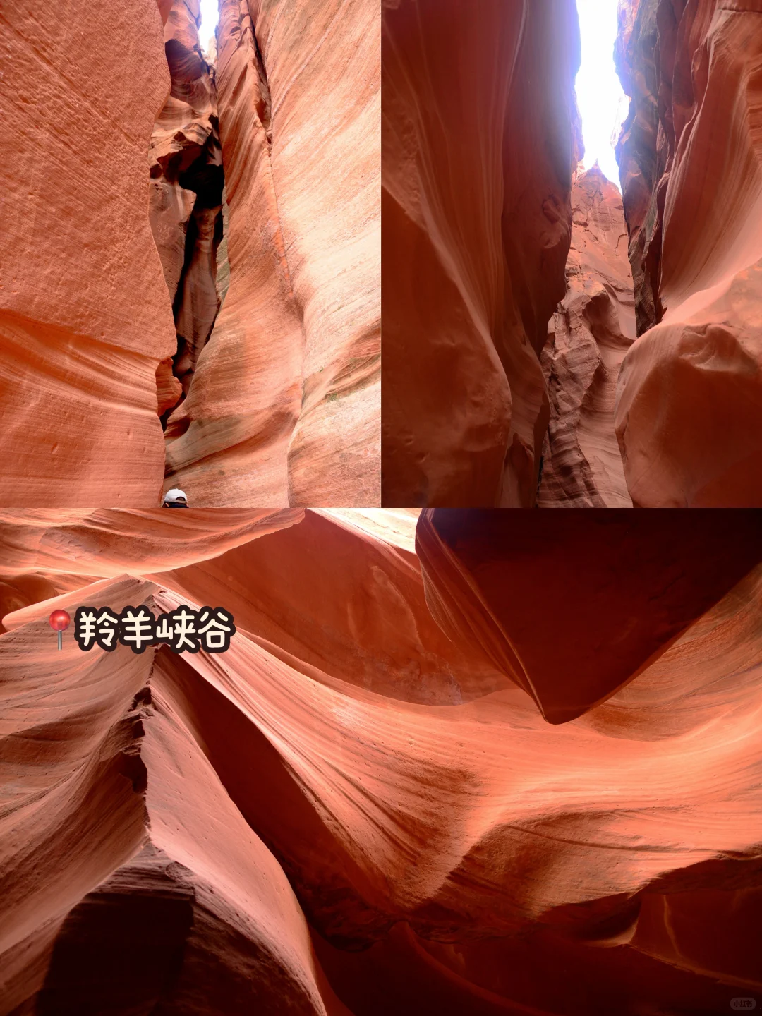 美西11天7晚$2999起！国家公园+城市嗨玩