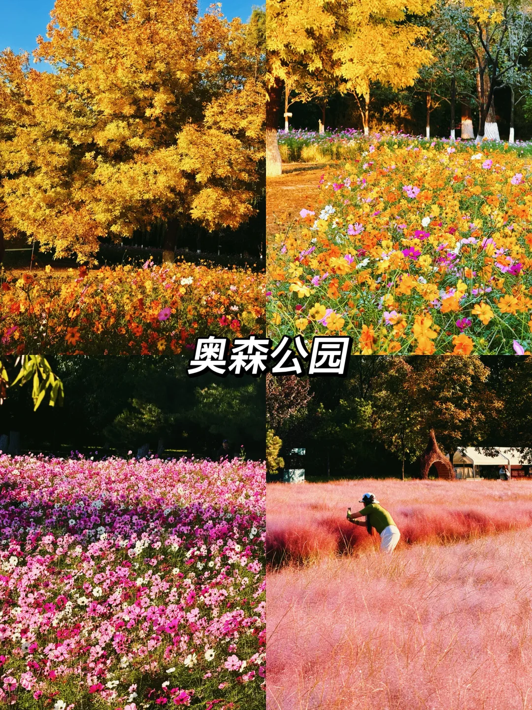 北京秋天一定要去的8️⃣个地方!