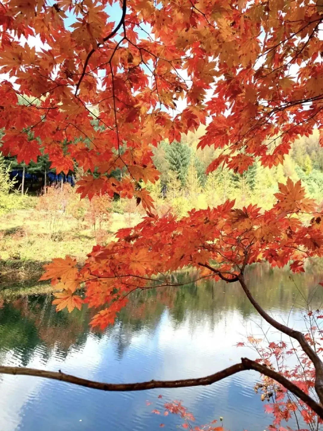 国庆反向旅游，小众宝藏景点，人美景少！