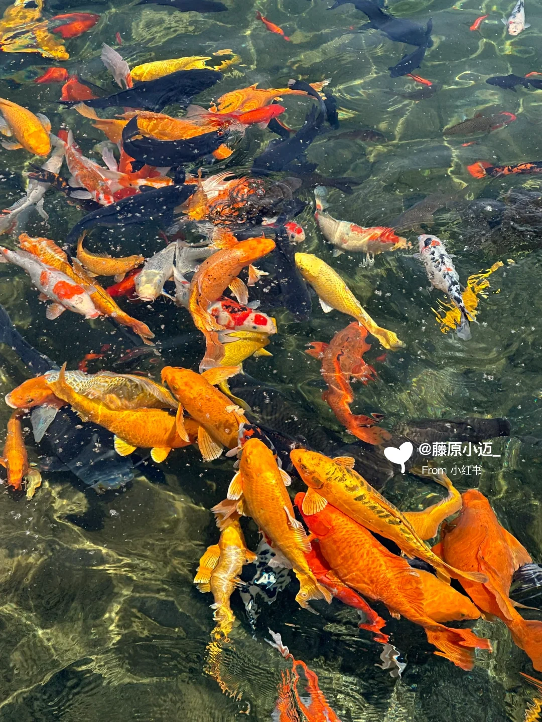 安阳周边游📍邯郸黑龙洞