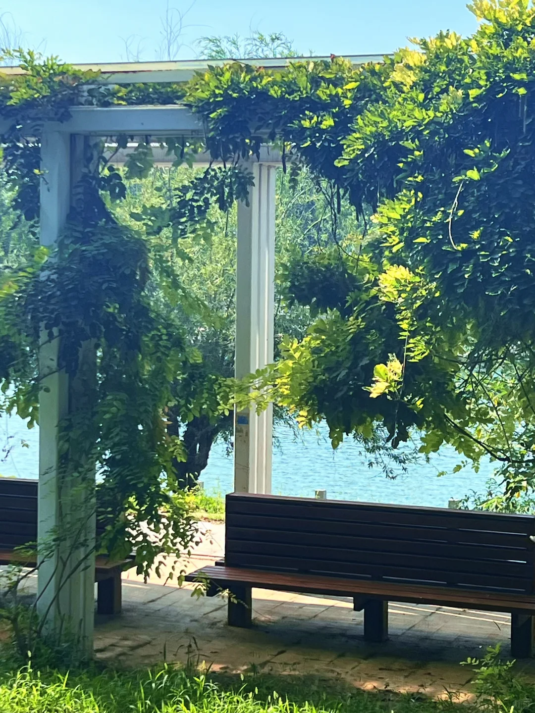 衡水小青岛 ｜晴天超出片