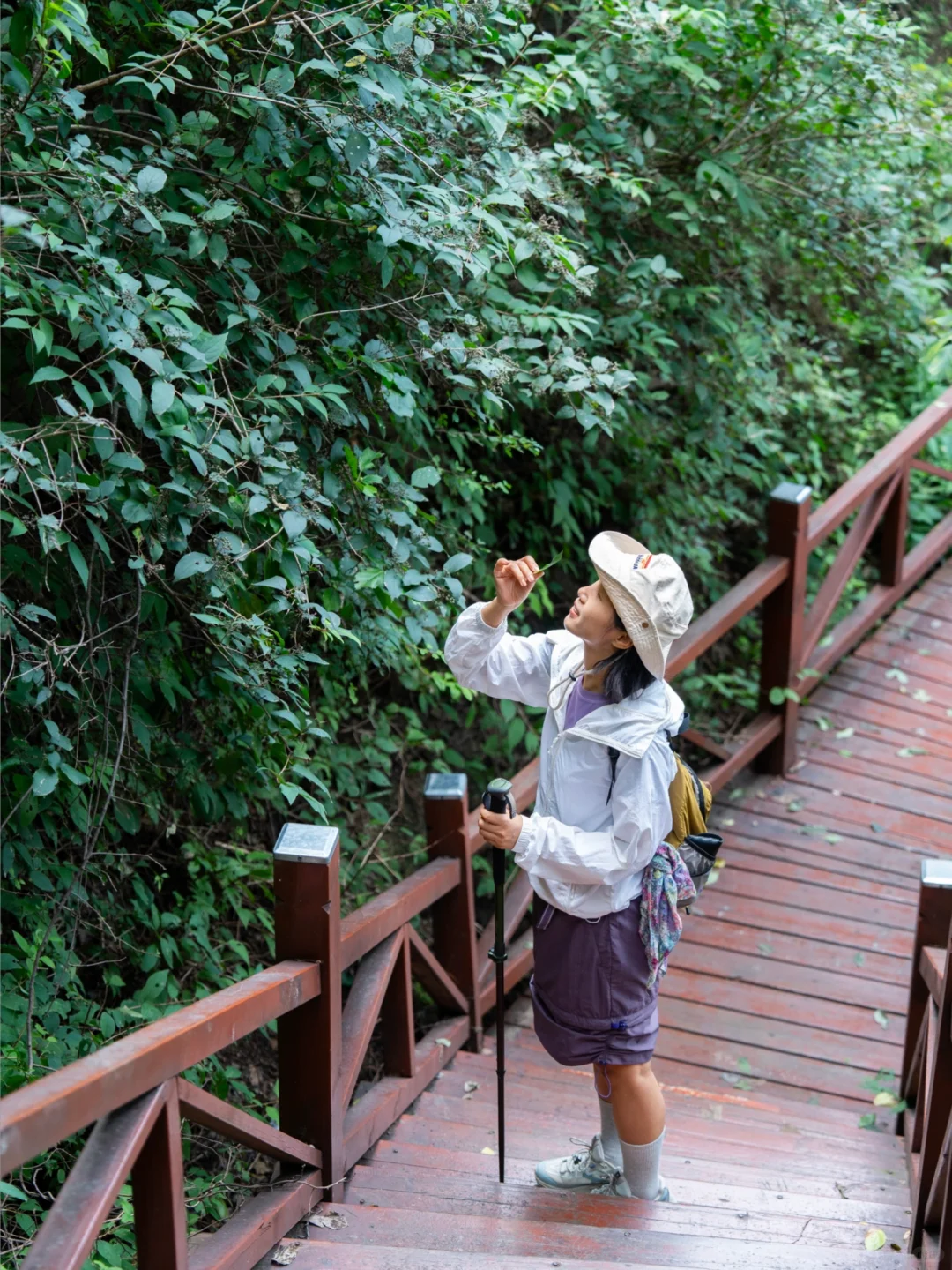 我宣布！我找到了北京超美云端步道！附地址