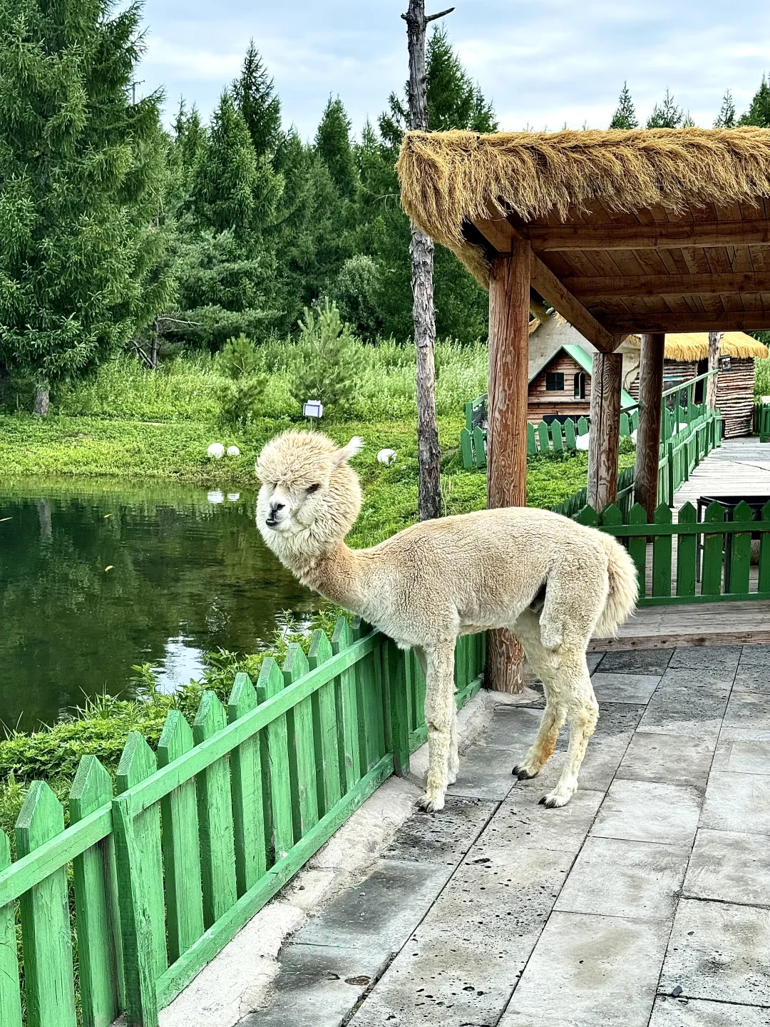 天池不开，二道白河一日游该怎么玩？