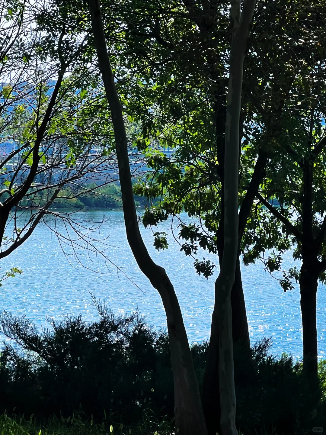 衡水小青岛 ｜晴天超出片