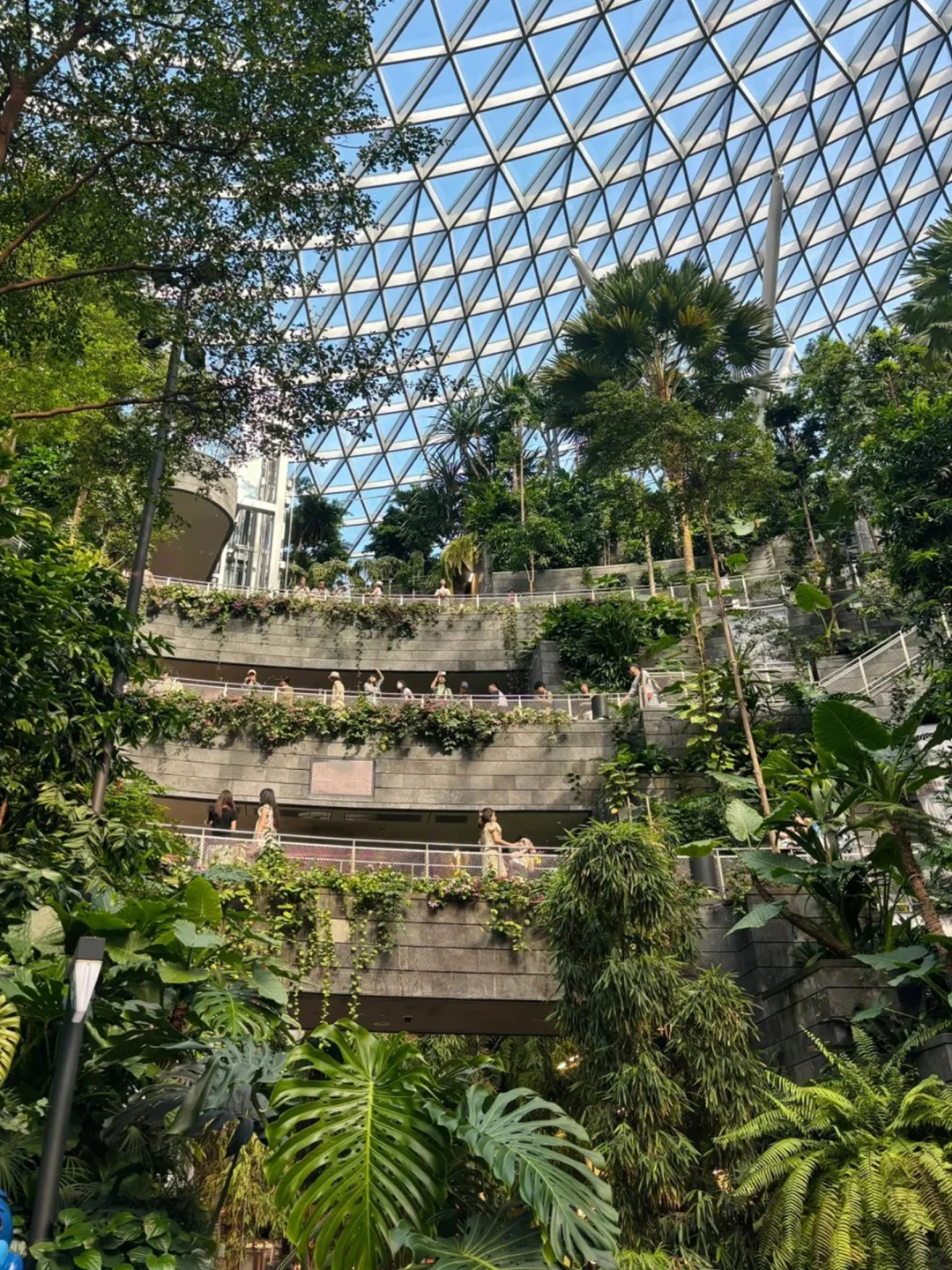 新加坡根本不是网上说的那样…😭