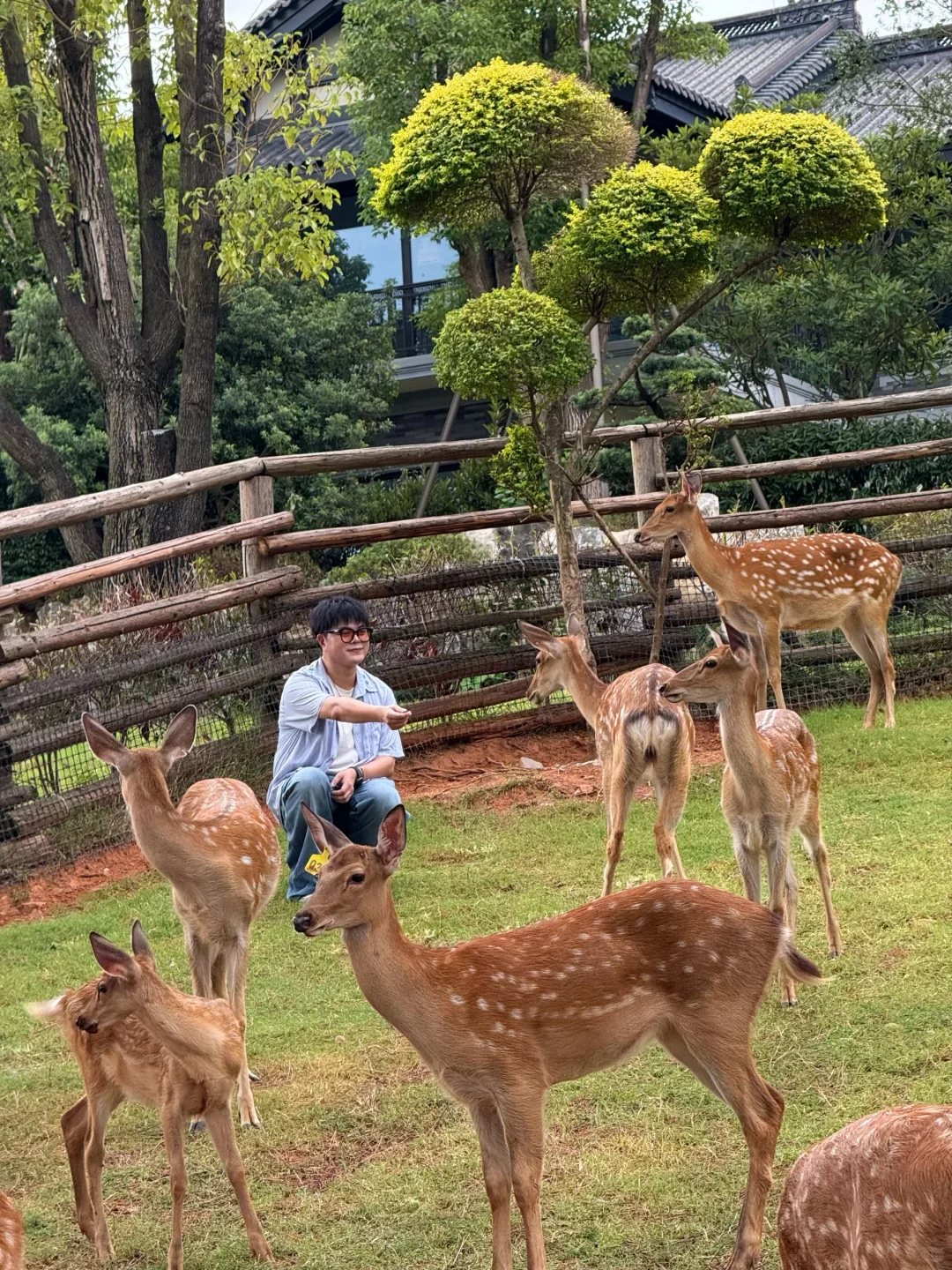 迄今为止😭我Z喜欢的浙江小城，真怕你太火