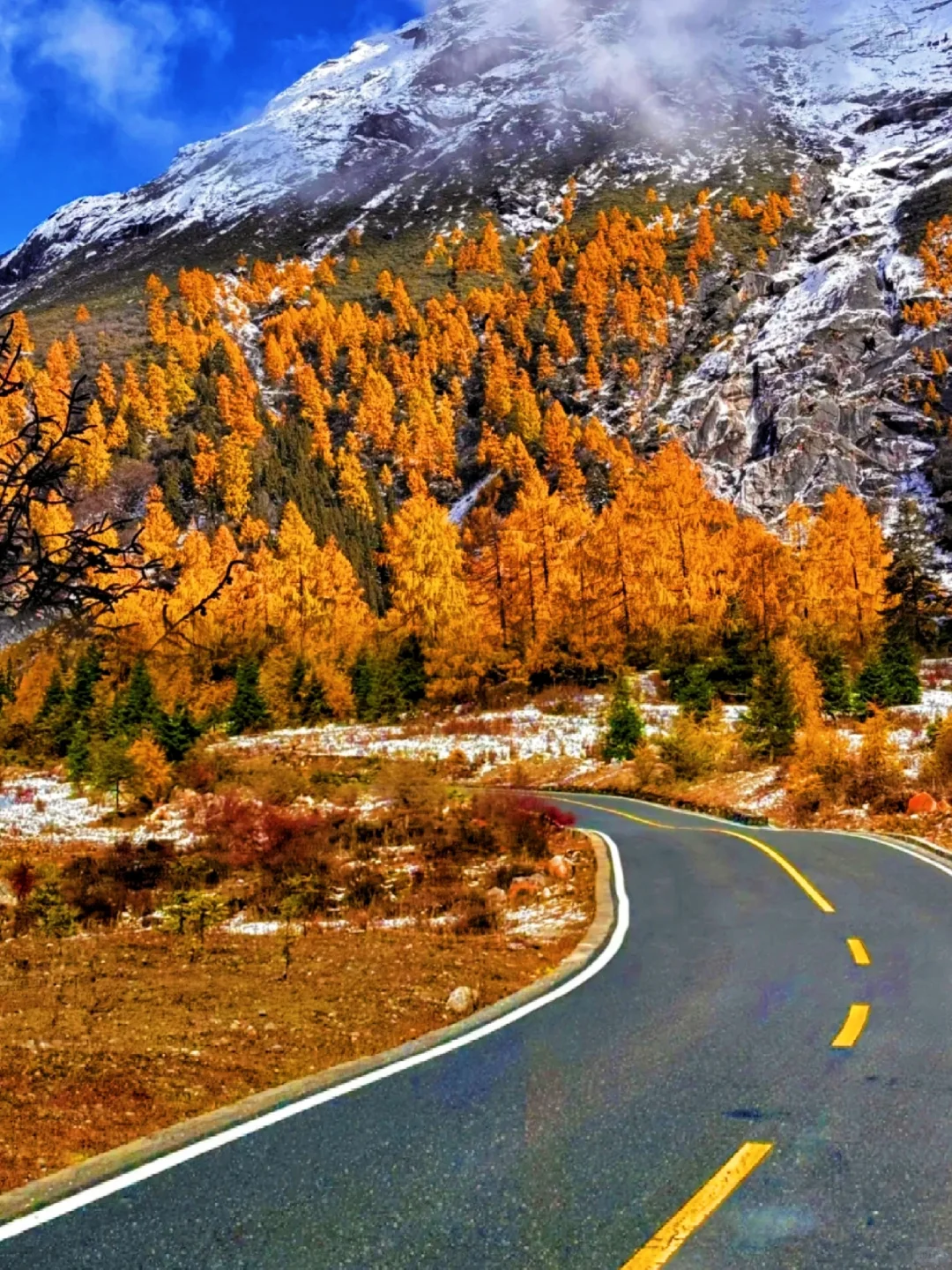 秋景封神的四姑娘山❗附游玩超详攻略❗