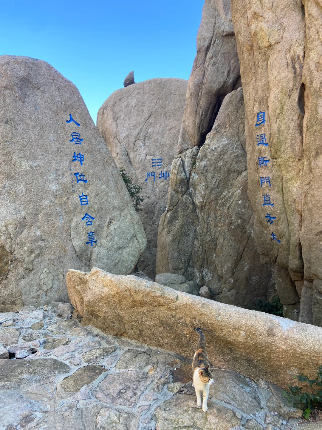 倘若来青岛崂山！那我一定推荐巨峰景区⛰️