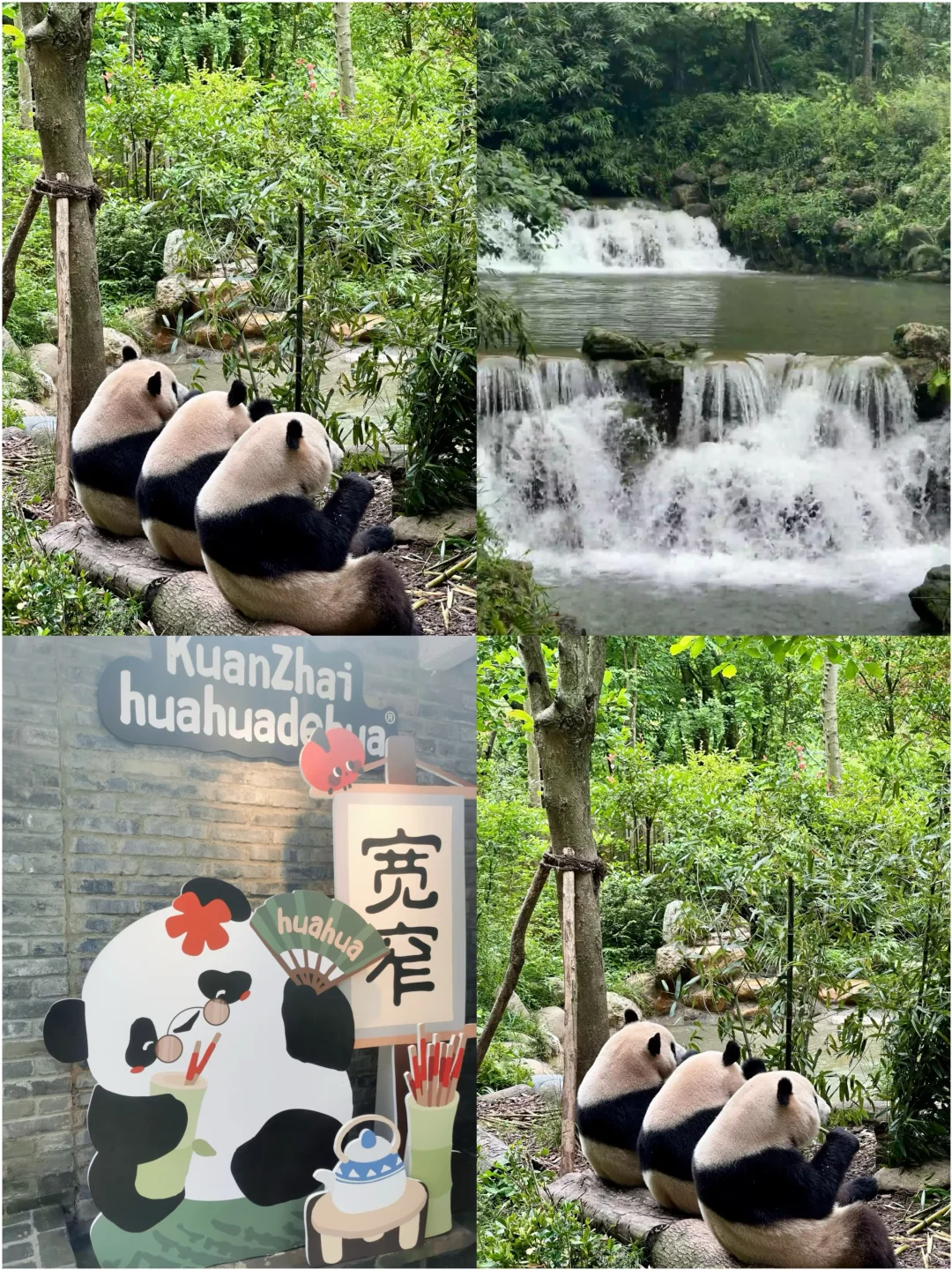 🌾秋日独行 | 4座治愈系散心城市全攻略