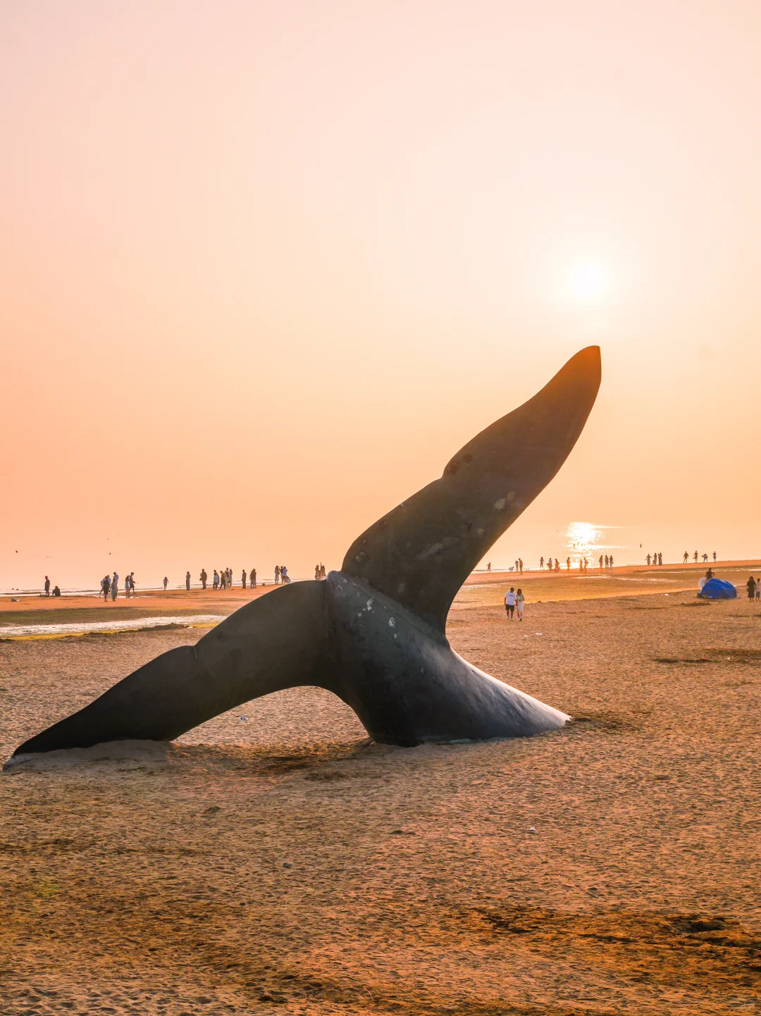 为了这1️⃣5️⃣图,我特意飞了一趟烟台