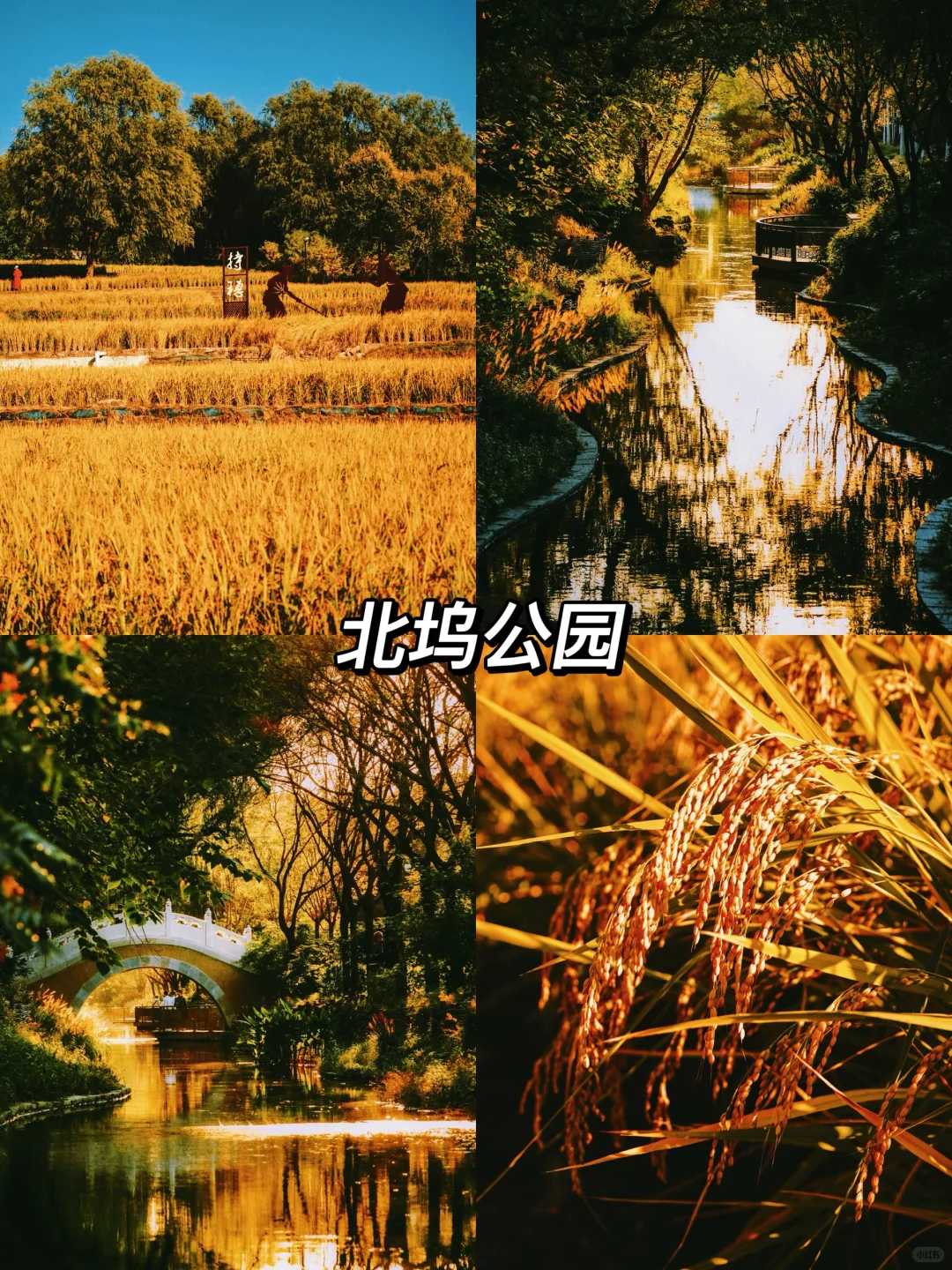 北京秋天一定要去的8️⃣个地方!