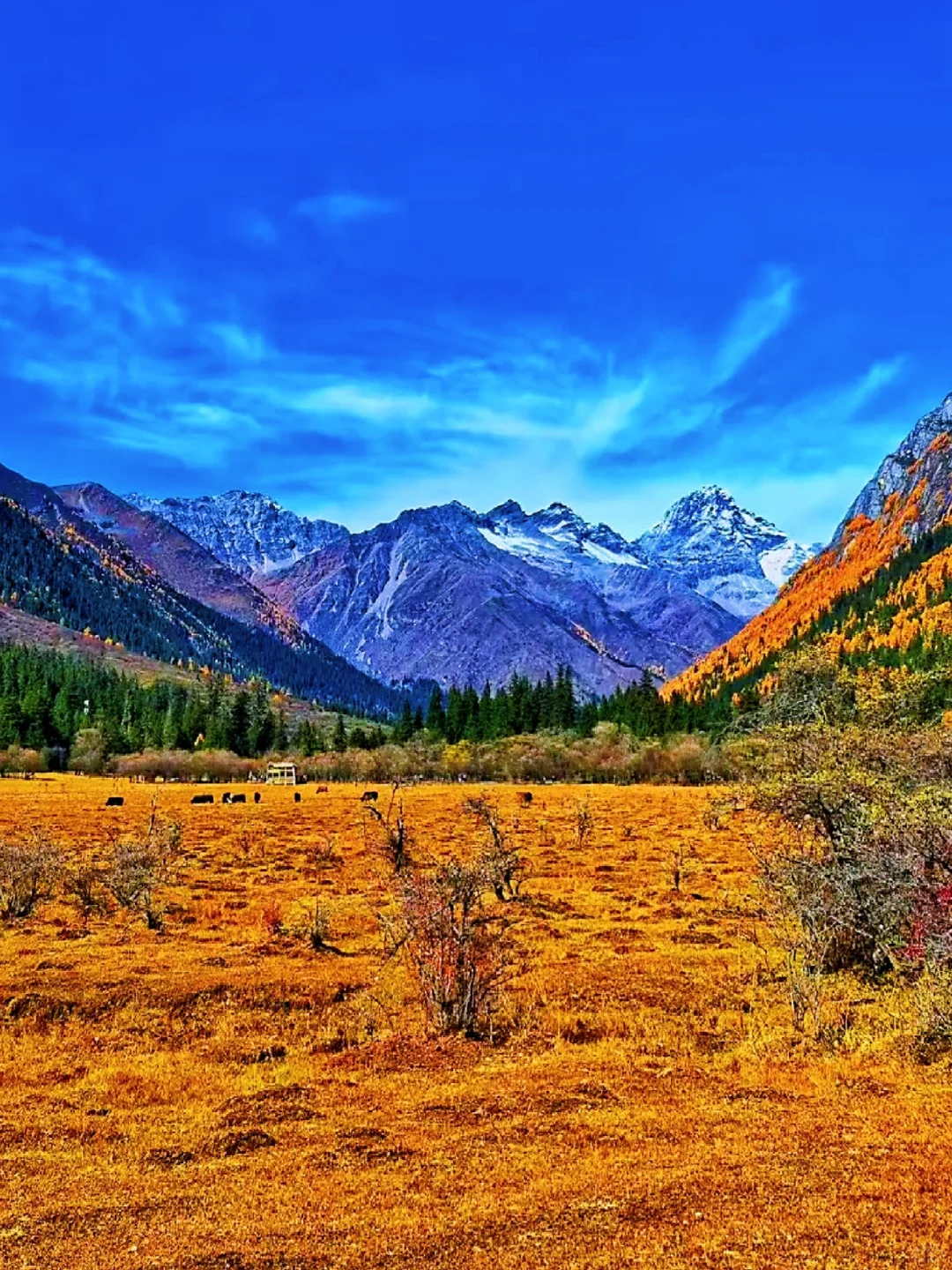 秋景封神的四姑娘山❗附游玩超详攻略❗