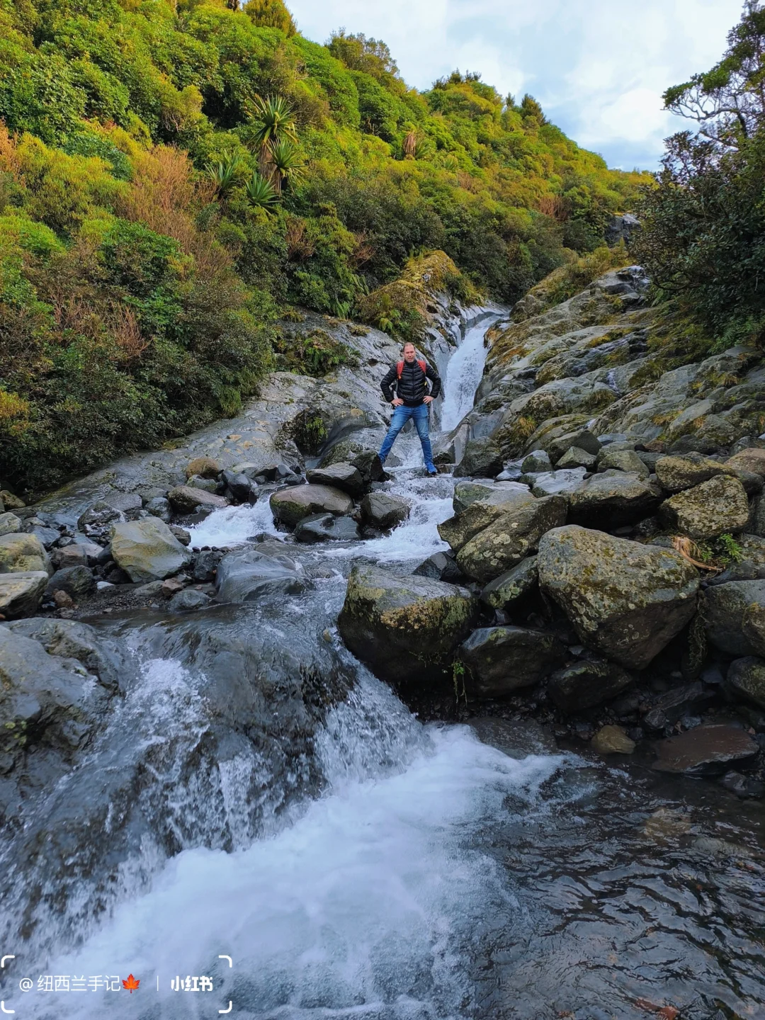 北岛著名景点🔥精灵森林