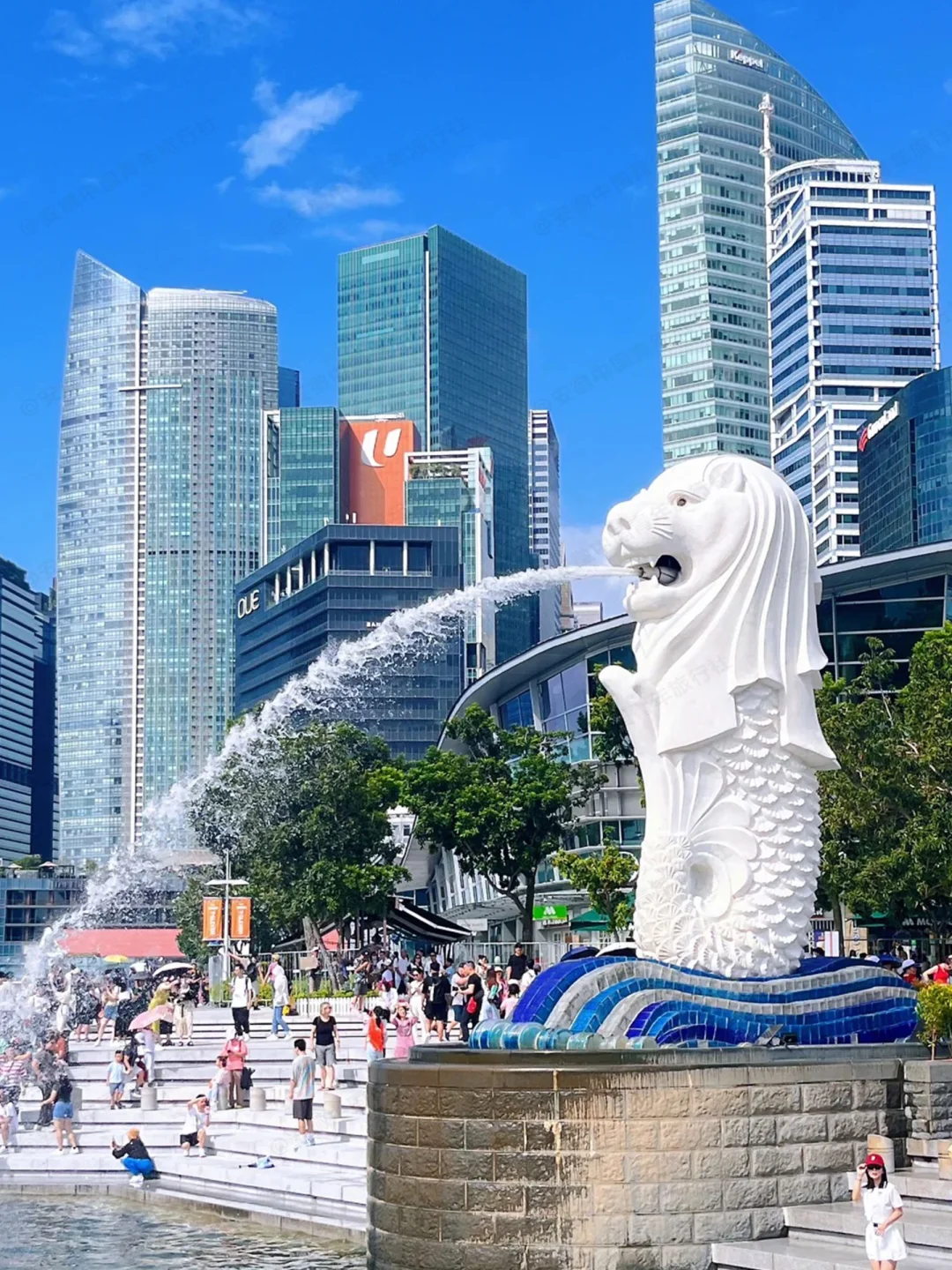 新加坡根本不是网上说的那样…😭