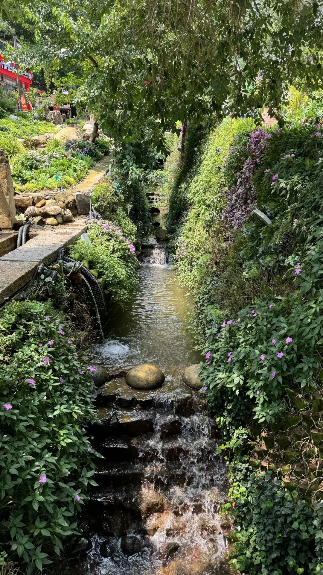 红叶柿岩一日游攻略｜从早玩到晚的快乐谁懂～