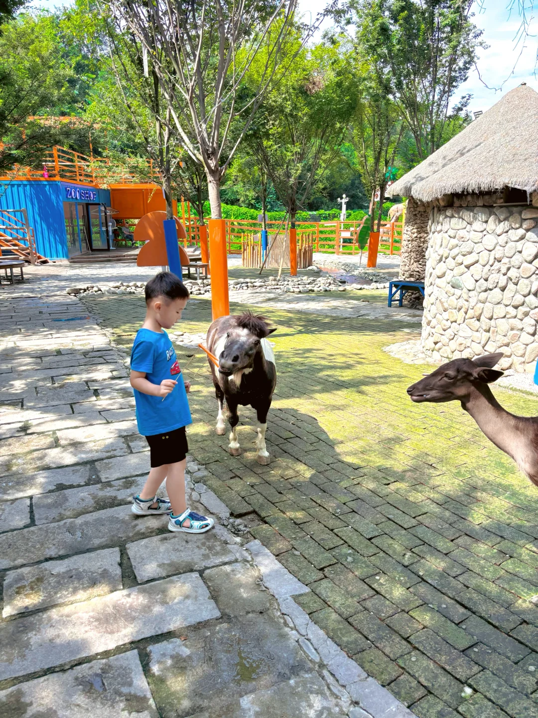 玩嗨了❗️终于找到适合遛娃的度假区🥳