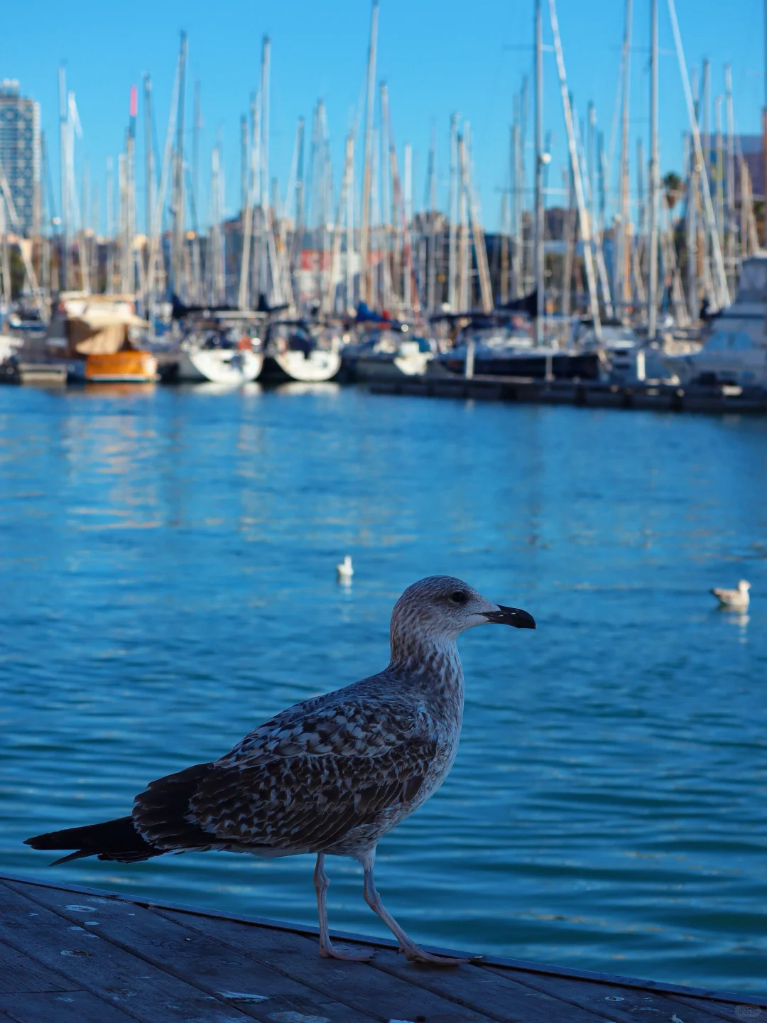 🇪🇸到巴塞罗那旅行，跟着这18张照片走就行！