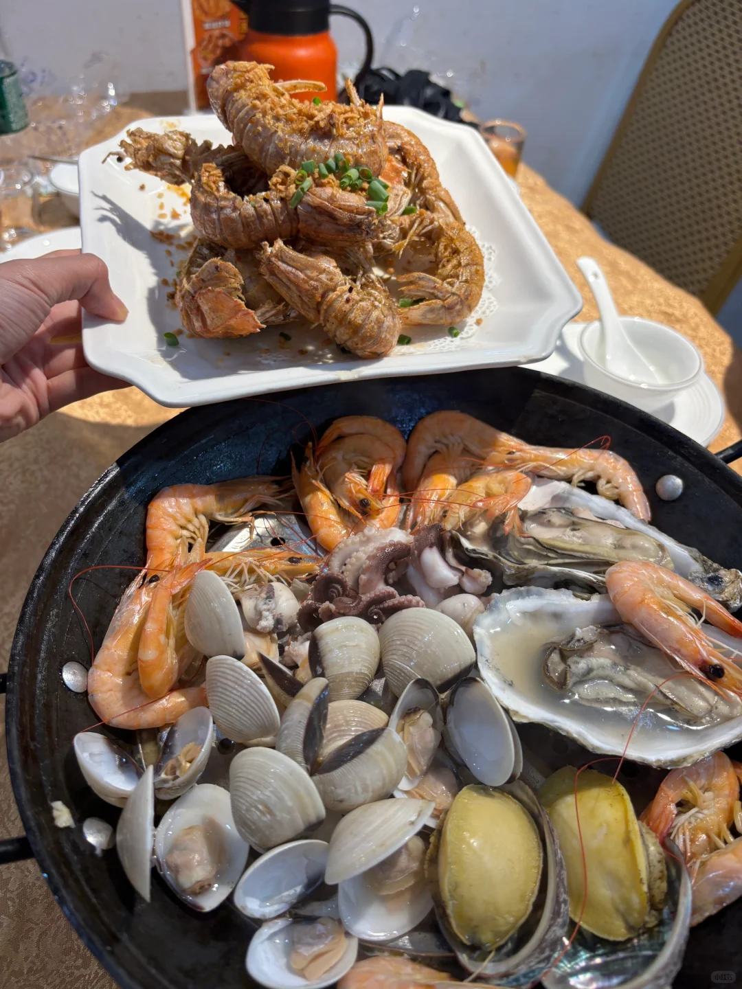 怎么没人告诉我珠海这么好拍！（出片攻略版）