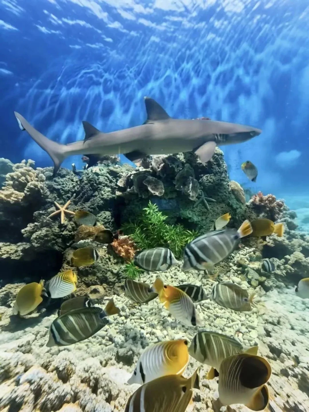 音乐节宠粉！鄂州13家景区宣布：免门票！