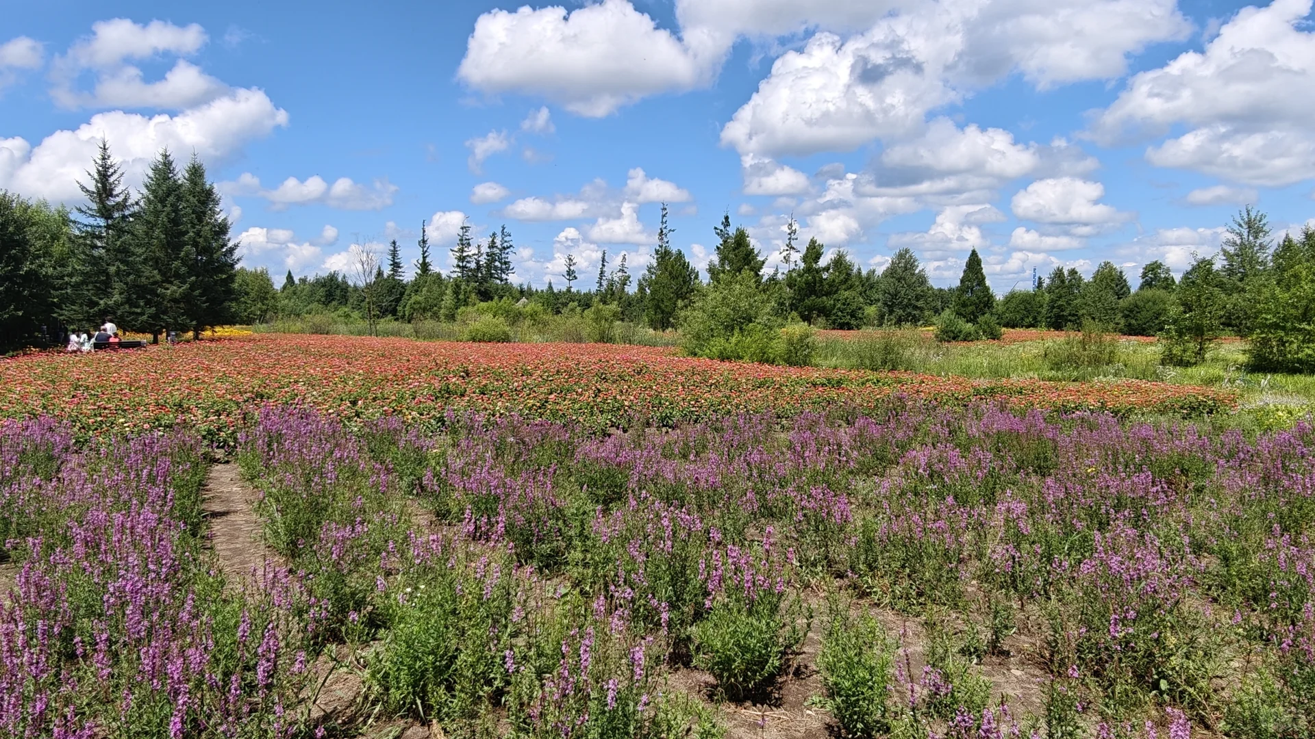长白山北坡二道白河九月自由行旅游玩攻略