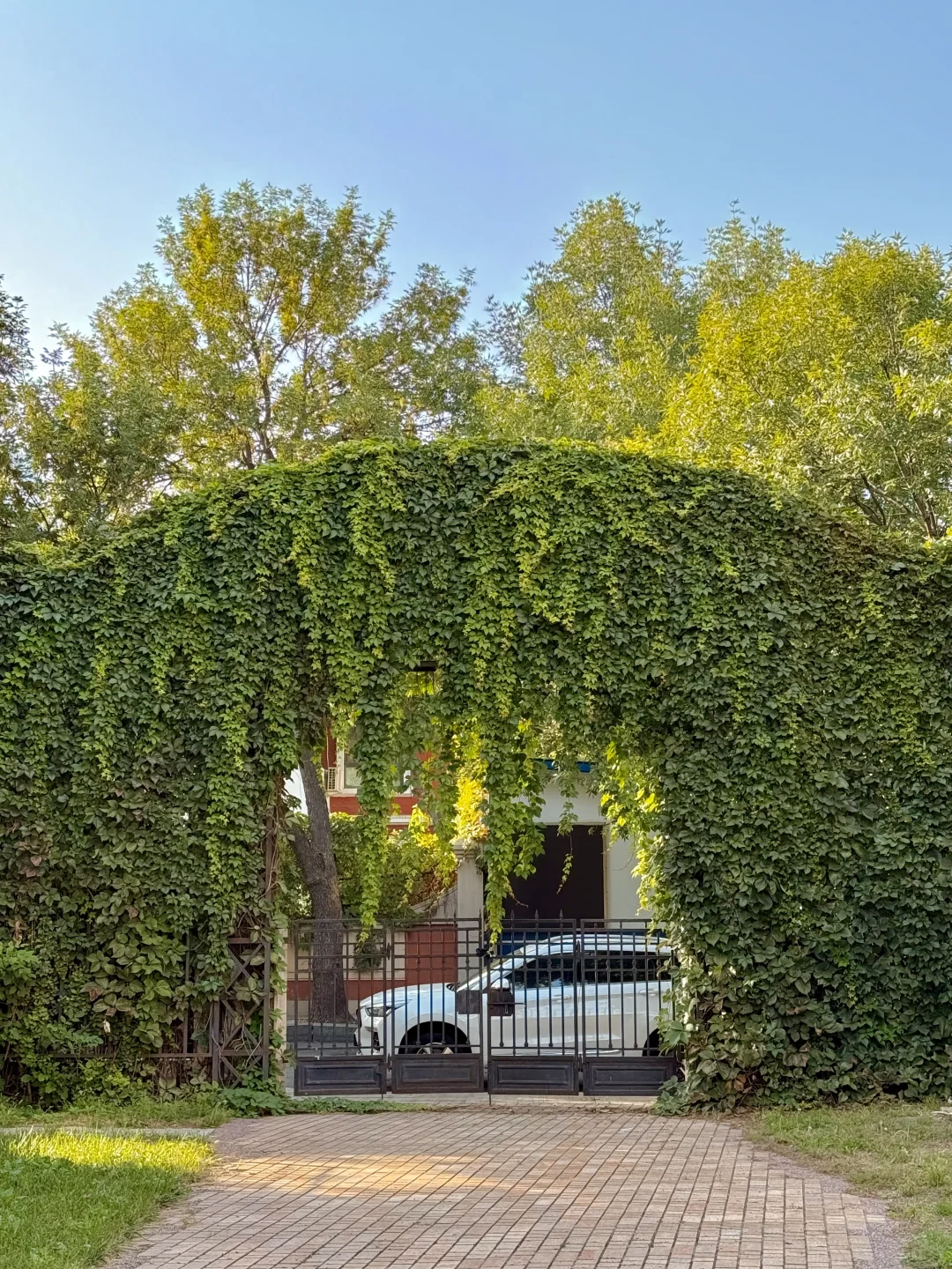 天津新开的！！敲有国外既视感的咖啡店…