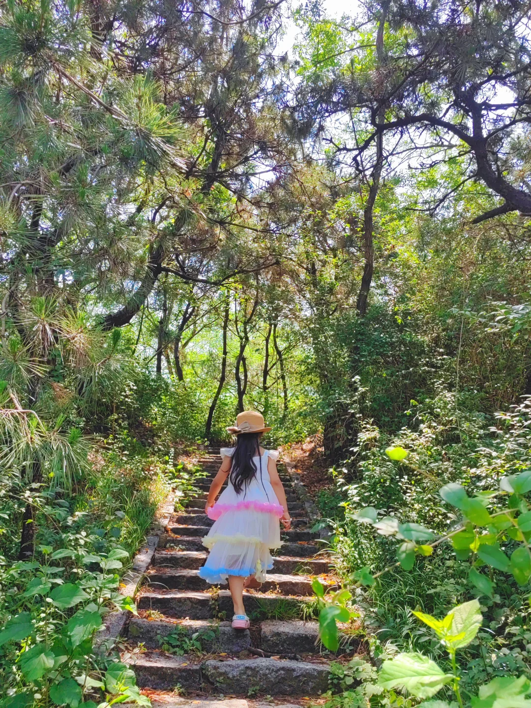 不接受反驳,国家森林公园是日照景点顶流!