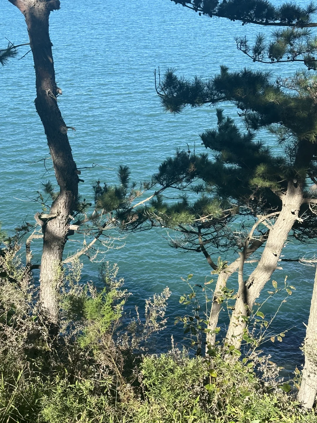 国内女生独自旅行/solotrip城市推荐（下