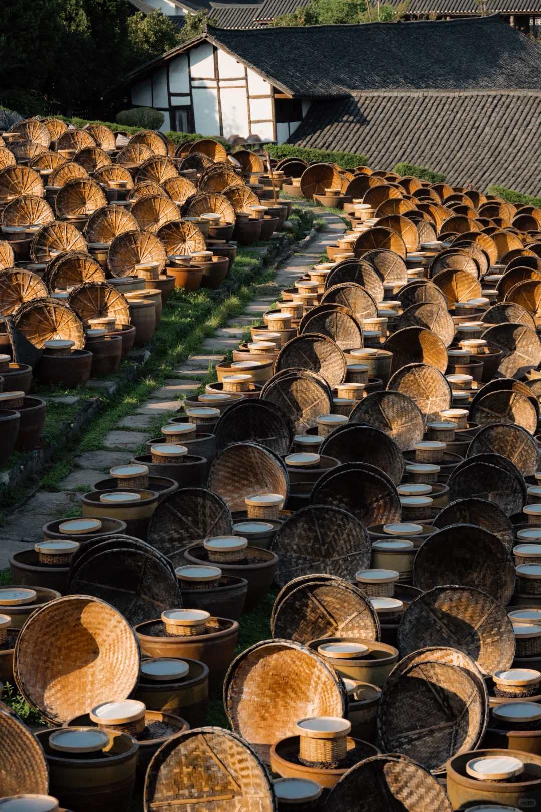 反向旅游，一座被严重低估的人文宝藏城市 ！