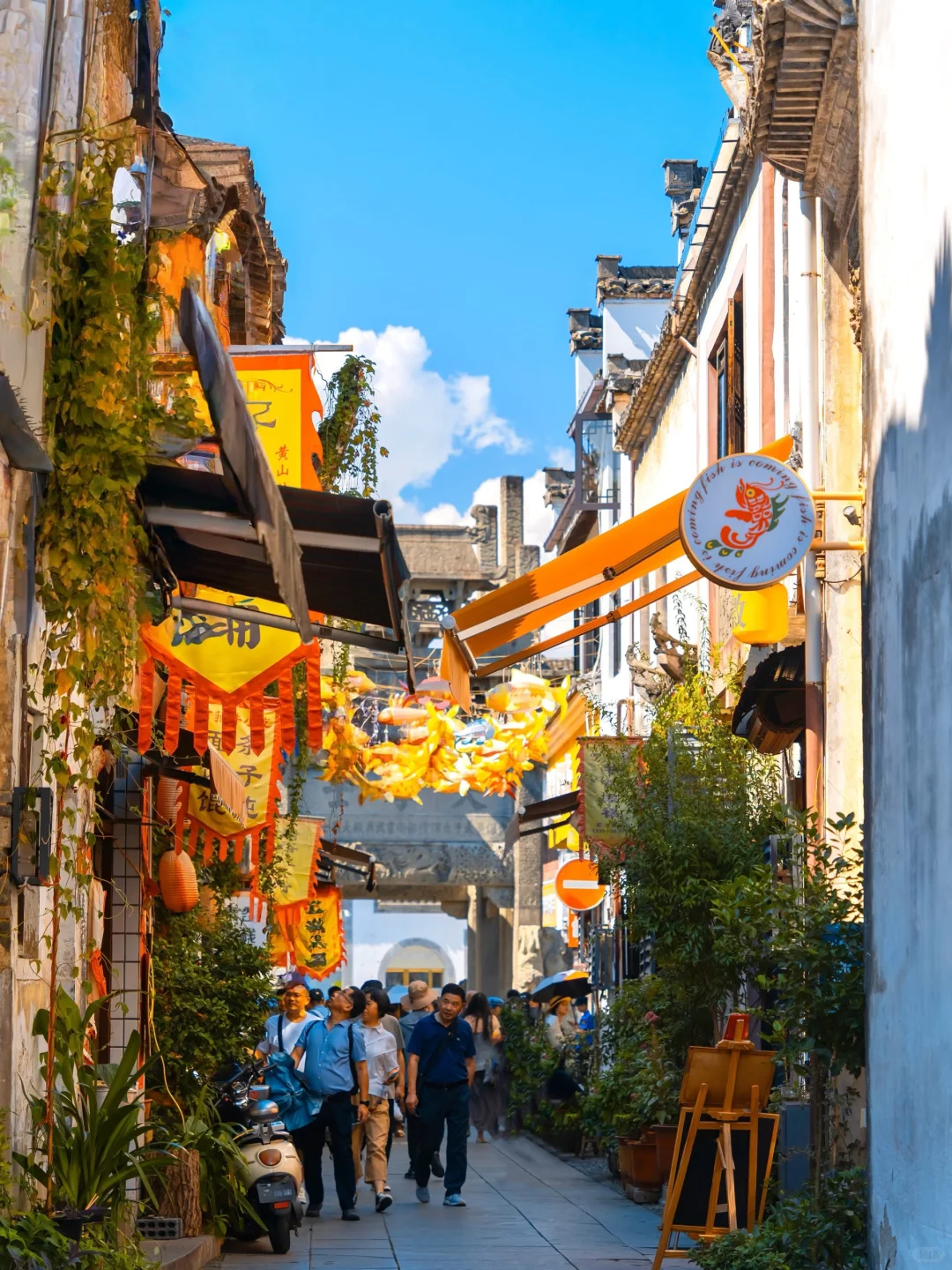 南京出发 | 挑战每周出去玩✨第57站📍歙县