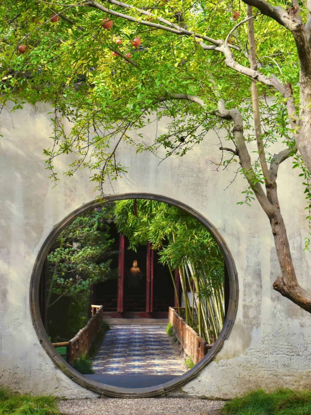 来苏州必拍的❶❺个绝美洞门🌙附游玩攻略