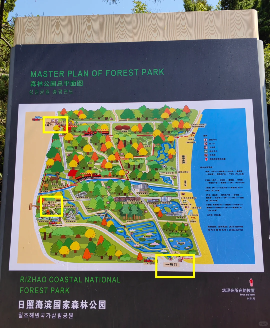 不接受反驳,国家森林公园是日照景点顶流!