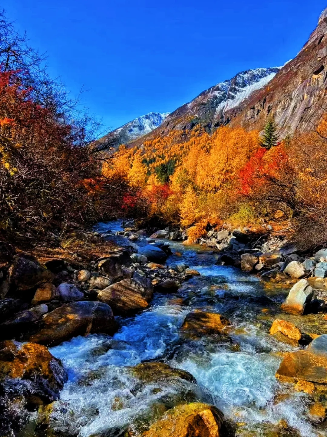 秋景封神的四姑娘山❗附游玩超详攻略❗