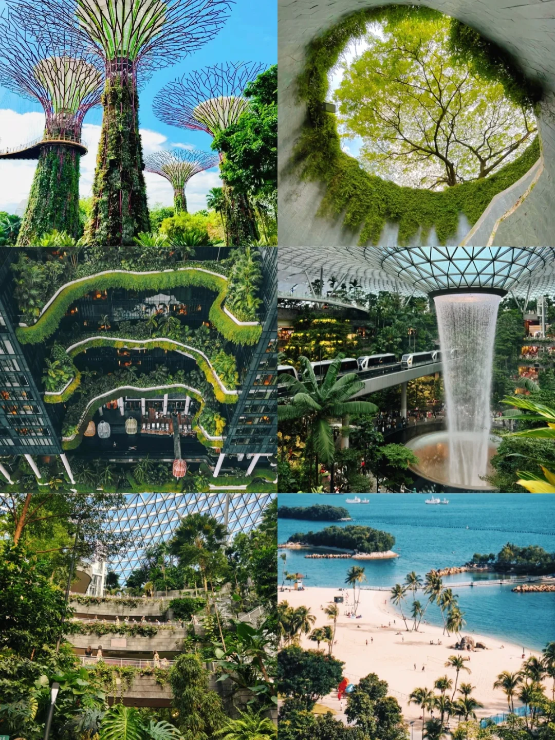 新加坡根本不是网上说的那样…😭