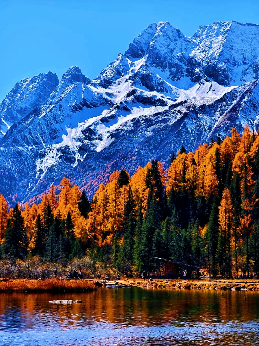 秋景封神的四姑娘山❗附游玩超详攻略❗