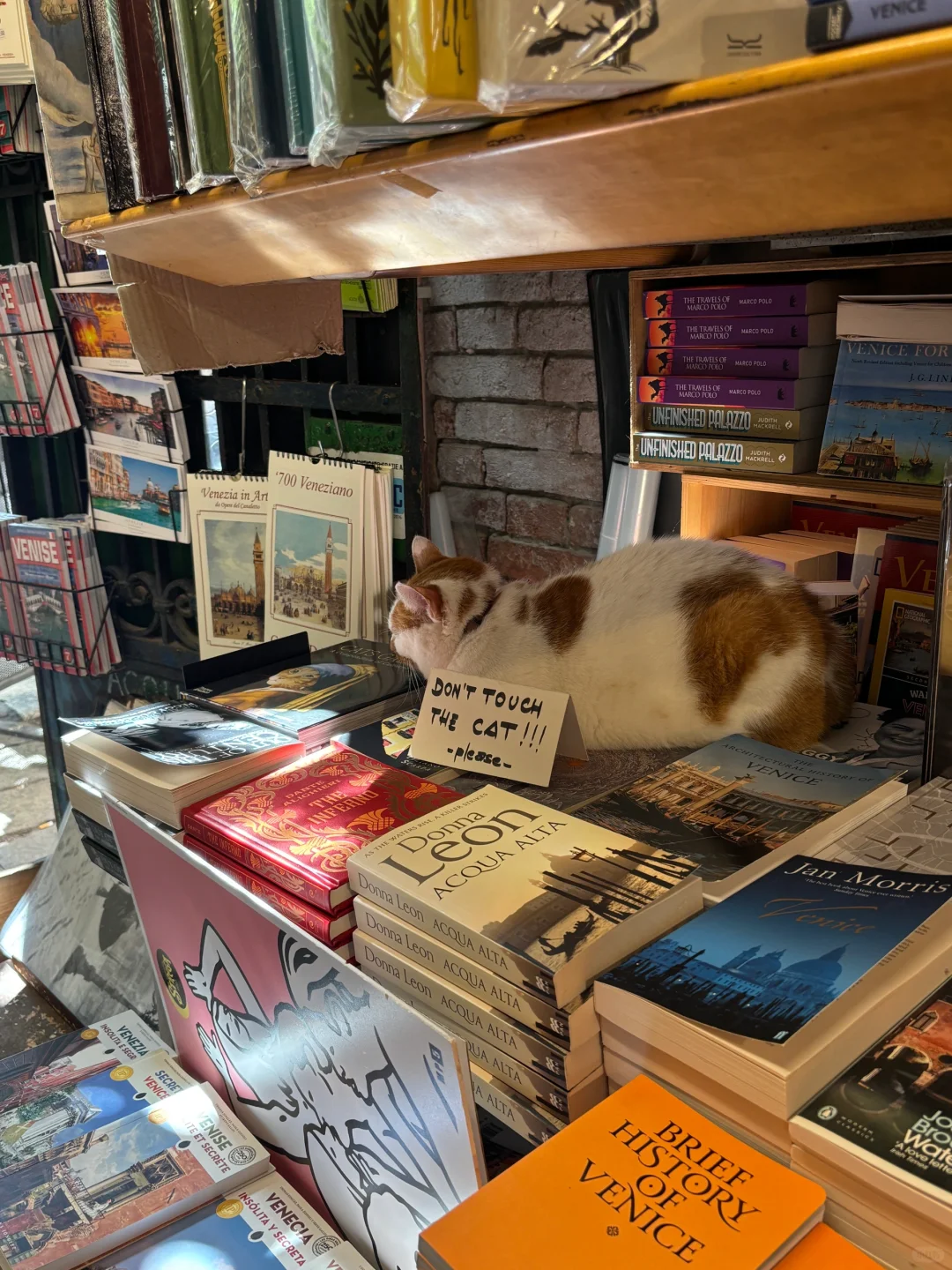 深圳打工人挑战周末旅游第6️⃣6️⃣站意大利