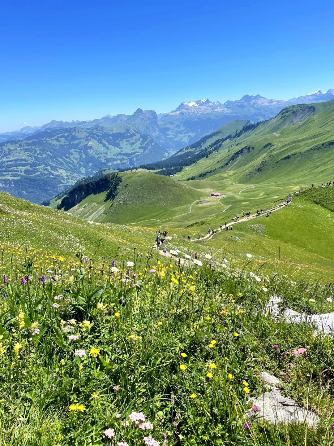 闯入阿尔卑斯山的神秘仙境——瑞士Stoos