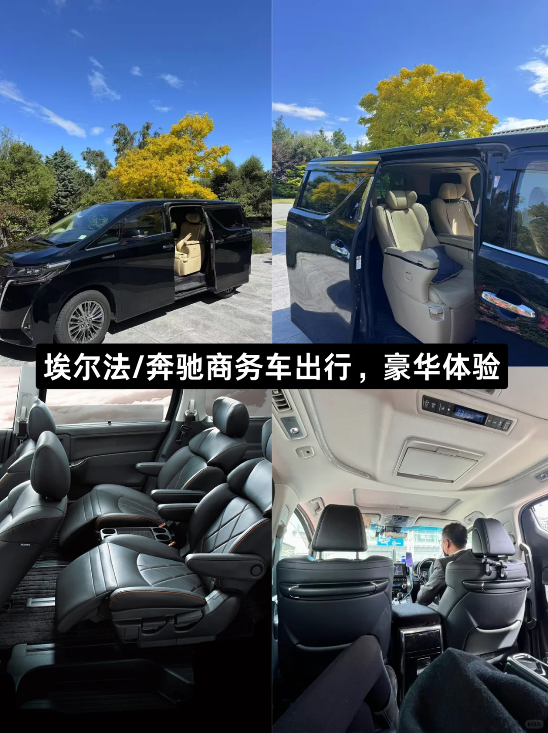 轻奢才是主打💎新西兰旅游我们只有2-6人