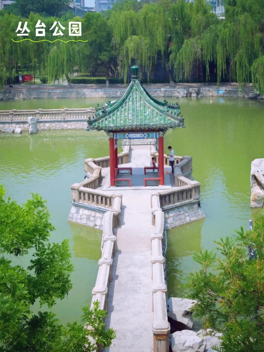 郑州🚅1h直达邯郸,一日打卡必去景点