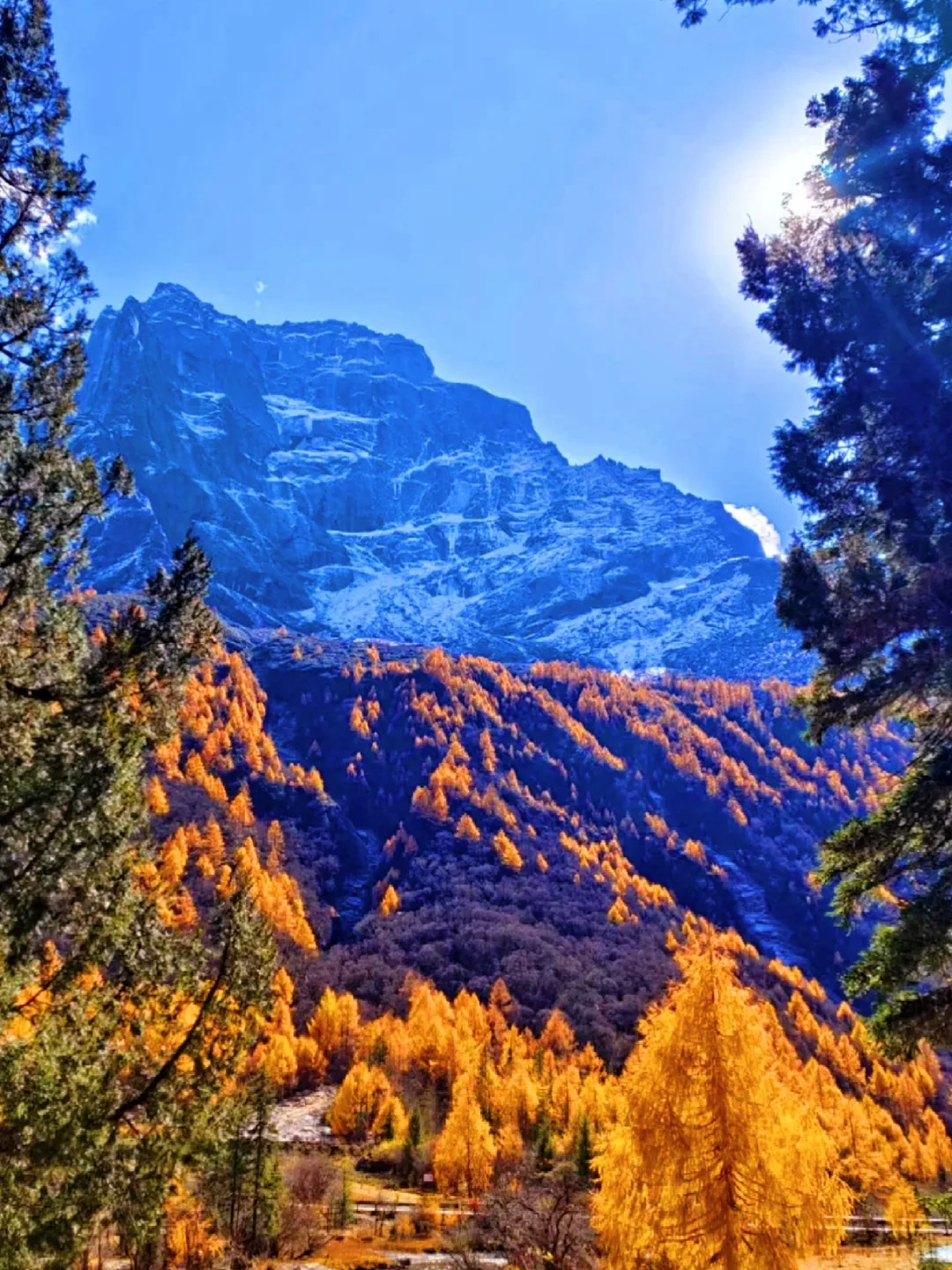 秋景封神的四姑娘山❗附游玩超详攻略❗