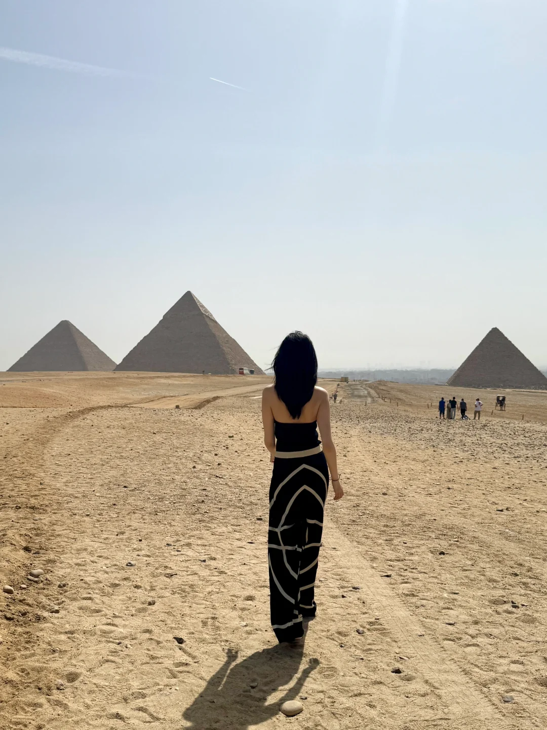 能在埃及体面拍照的人做什么都会成功的